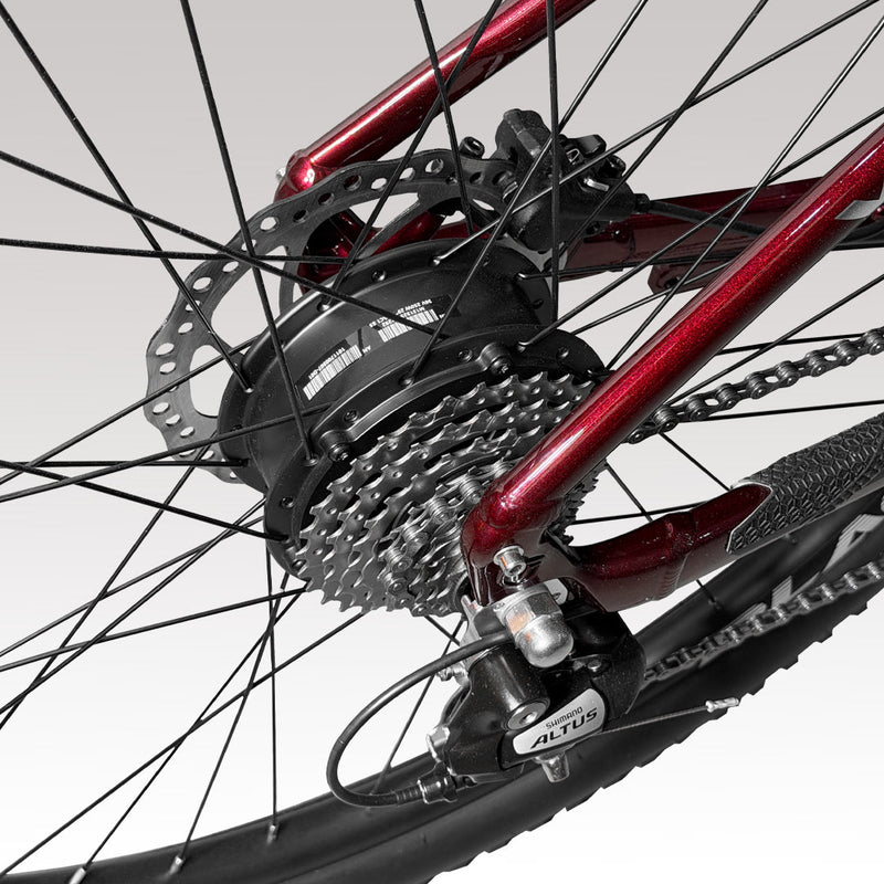 Bicicletas Eléctricas Vairo: la guía definitiva para elegir la e-bike ideal
