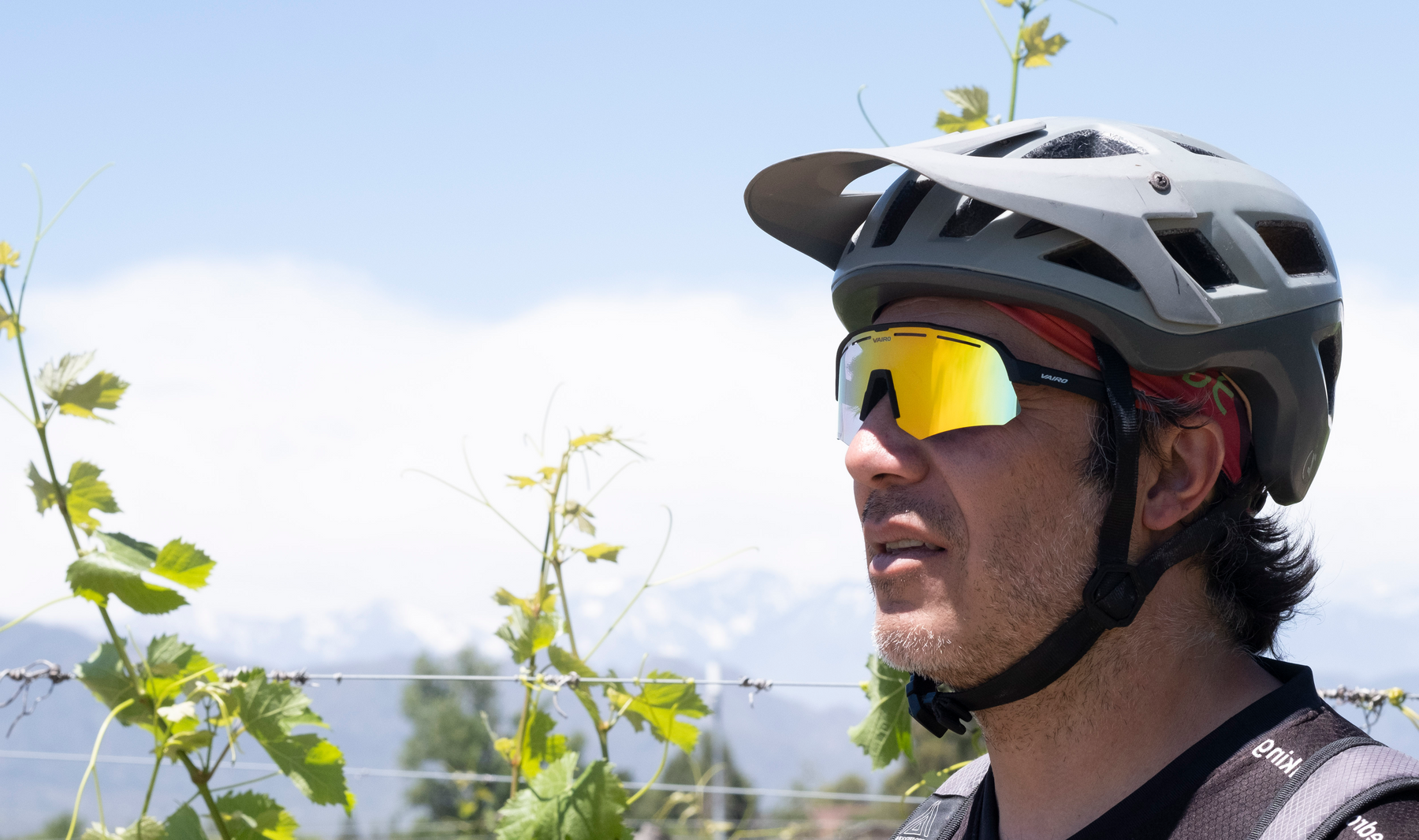 <strong>Lentes Cyclone <br>Polarizado REVO</strong>