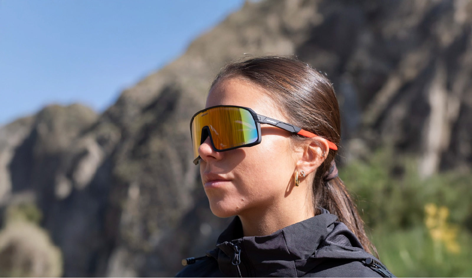 <strong>Lentes Ward Policromático</strong>