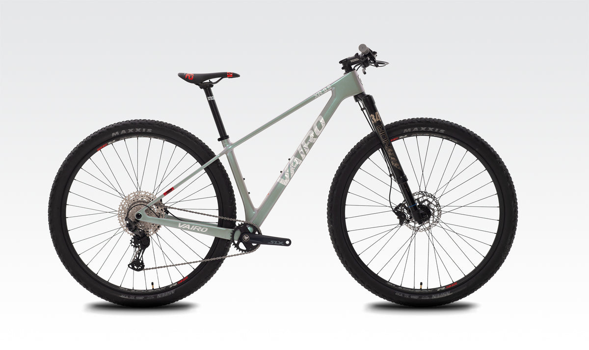 XR 9.9 CARBON 32" XT Horquilla Invertida