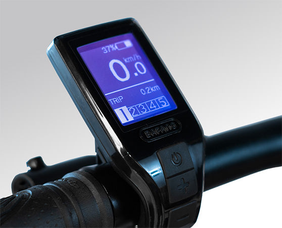 Display LCD accesible